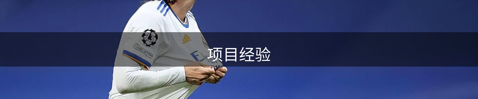 项目经验